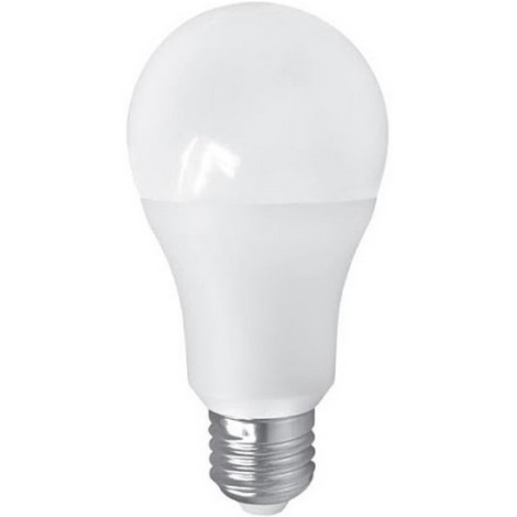 LED Lamp PITT A60 AC/DC E27/12W/24V 4000K