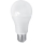 LED Lamp PITT A60 AC/DC E27/12W/24V 4000K