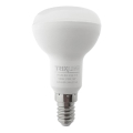 LED Lamp R50 E14/6,5W/230V 2700K