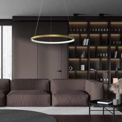 LED-kroonluchter aan kabel ROTONDA LED/27W/230V goud