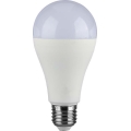 LED Lamp SAMSUNG CHIP A65 E27/17W/230V 3000K