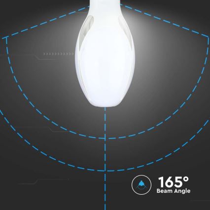 LED Lamp SAMSUNG CHIP E27/36W/230V 6500K