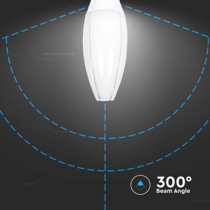 LED Lamp SAMSUNG CHIP E40/60W/230V 4000K