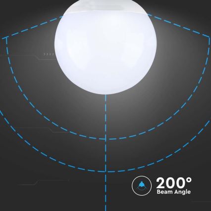 LED Lamp SAMSUNG CHIP G120 E27/22W/230V 6500K