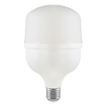 LED Lamp T100 E27/30W/230V 6500K