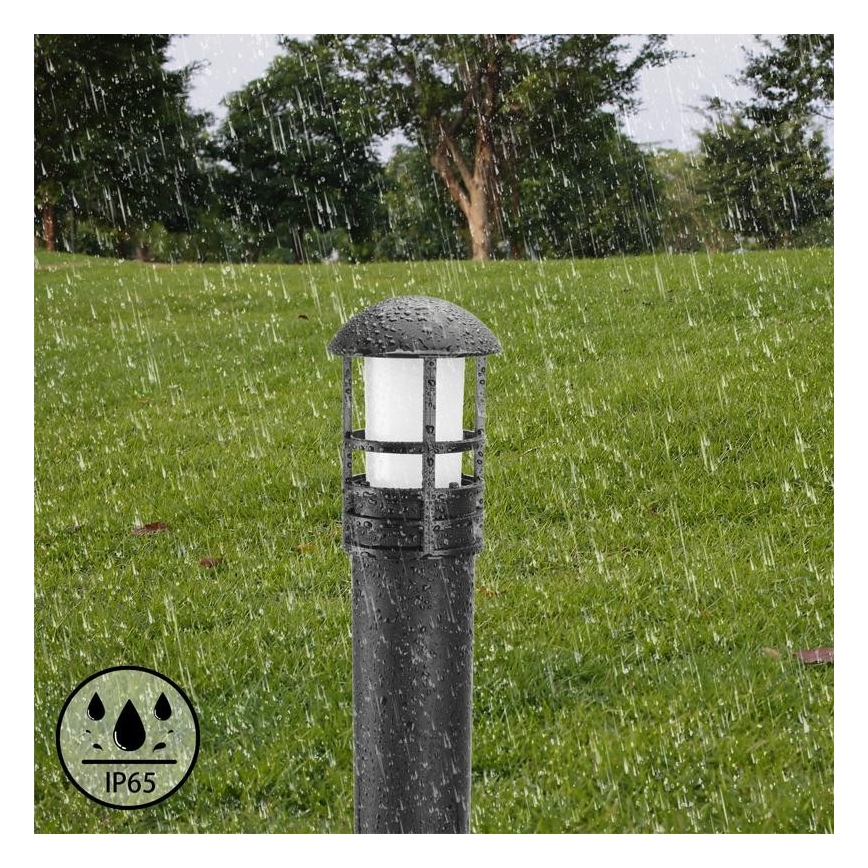 LED Lamp voor Buiten LED/3W/230V 2800K IP65