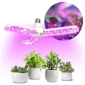 LED Lamp voor plantengroei PLANTY E27/24W/230V 1200K