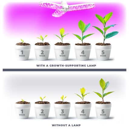 LED Lamp voor plantengroei PLANTY E27/24W/230V 1200K