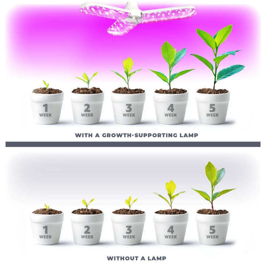 LED Lamp voor plantengroei PLANTY E27/24W/230V 1200K