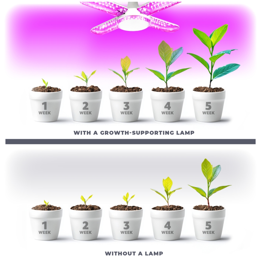 LED Lamp voor plantengroei PLANTY E27/40W/230V 1200K
