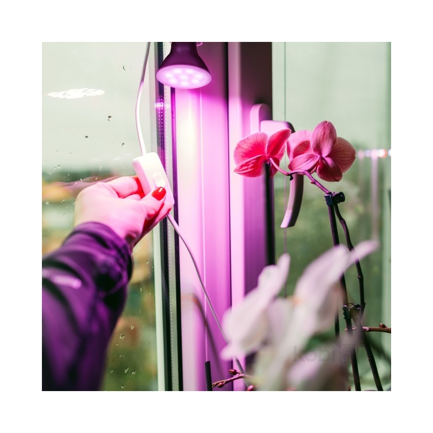 LED Lamp voor plantengroei PLANTY E27/7W/230V 1200K zwart