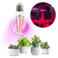 LED Lamp voor plantengroei PLANTY E27/8W/230V 1200K