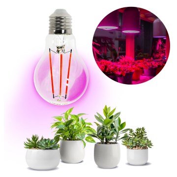 LED Lamp voor plantengroei PLANTY E27/8W/230V 1200K