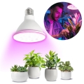 LED Lamp voor plantengroei PLANTY E27/9W/230V 1200K wit