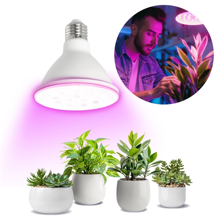 LED Lamp voor plantengroei PLANTY E27/9W/230V 1200K wit