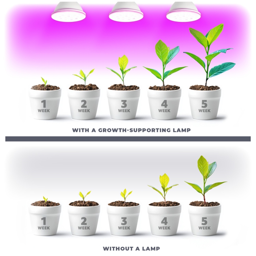 LED Lamp voor plantengroei PLANTY E27/9W/230V 1200K wit