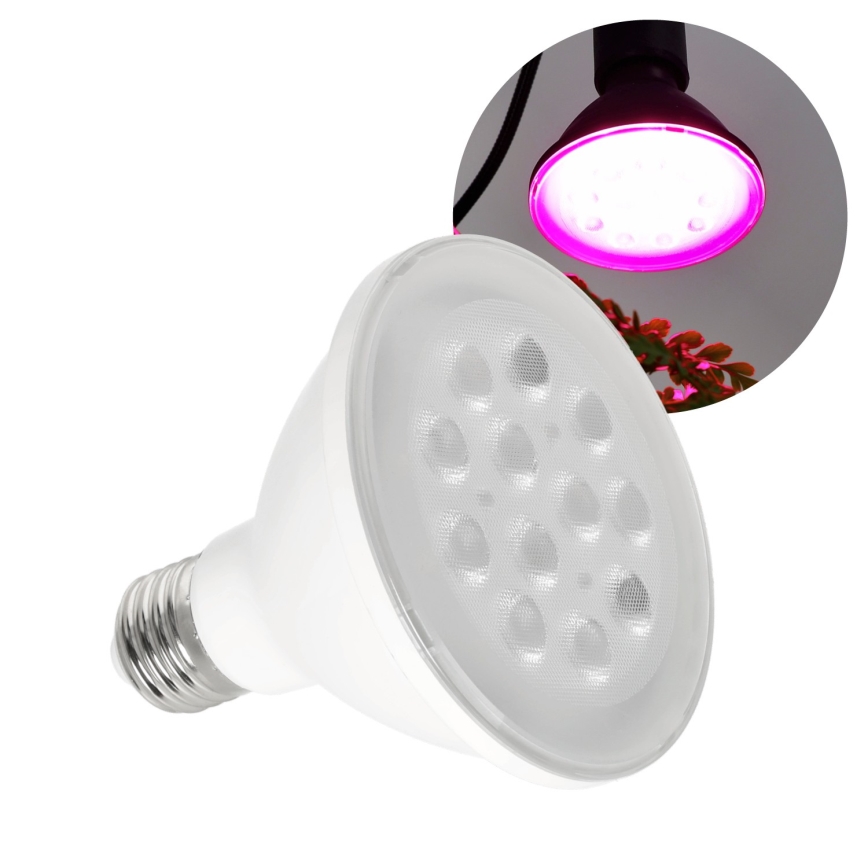 LED Lamp voor plantengroei PLANTY E27/9W/230V 1200K wit
