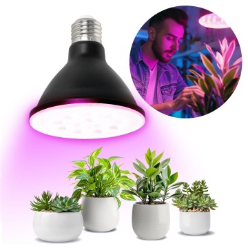 LED Lamp voor plantengroei PLANTY E27/9W/230V 1200K zwart