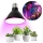 LED Lamp voor plantengroei PLANTY E27/9W/230V 1200K zwart