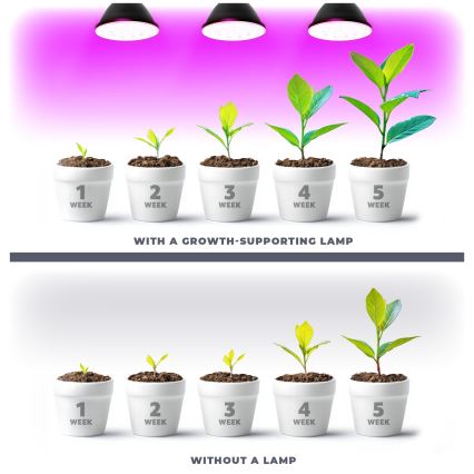 LED Lamp voor plantengroei PLANTY E27/9W/230V 1200K zwart