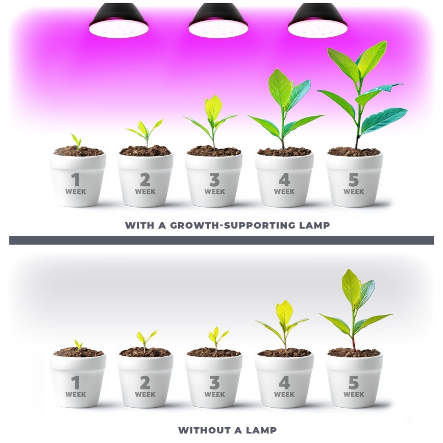LED Lamp voor plantengroei PLANTY E27/9W/230V 1200K zwart