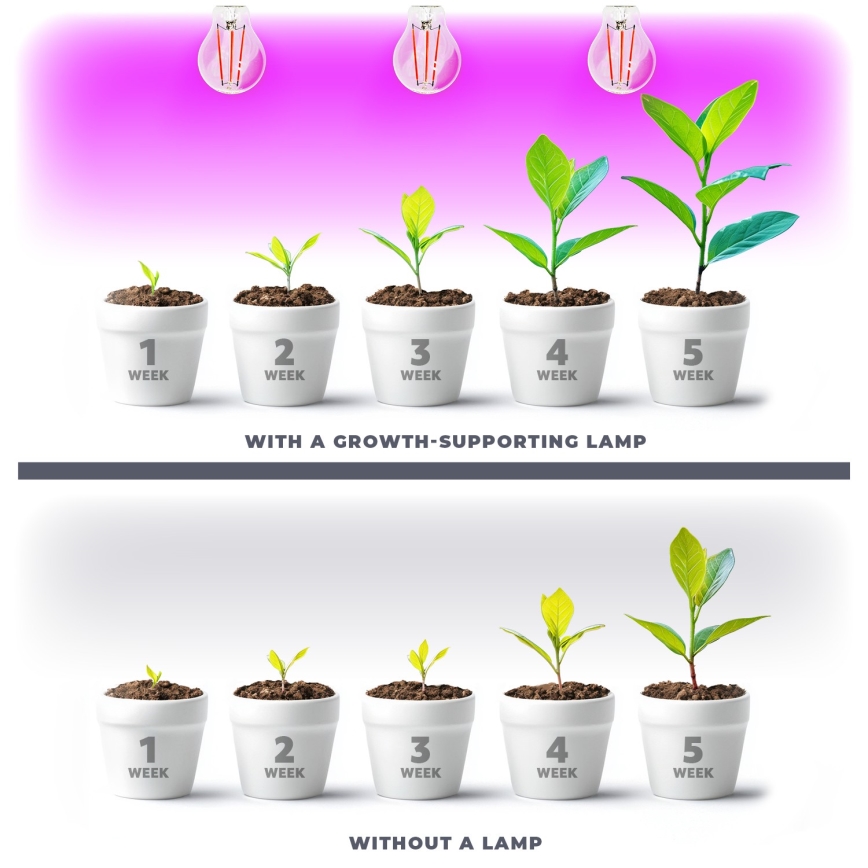 LED Lamp voor plantengroei VITABLOOM E27/8W/230V 1200K - Brilagi