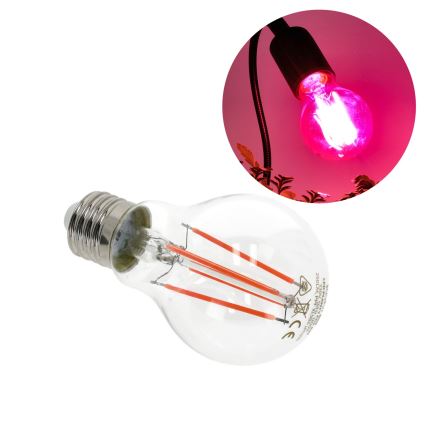 LED Lamp voor plantengroei VITABLOOM E27/8W/230V 1200K - Brilagi