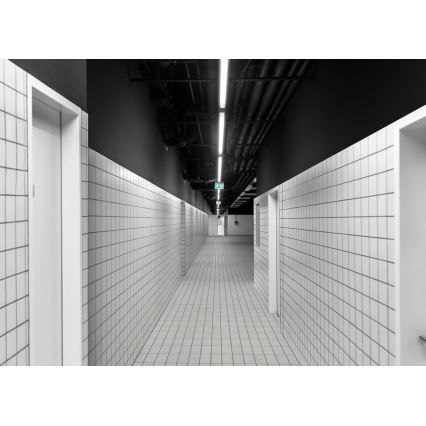 LED Lamp voor professionele toepassingen LIMEA MINI LED/36W/230V IP65 4000K 1200 mm