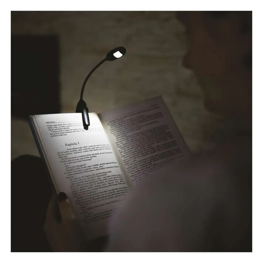LED Leeslamp LED/1xAAA