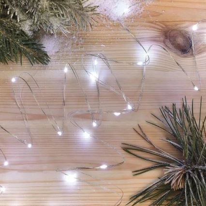 LED-lichtsnoer 20xLED/2xAA, 2,4 m, koud wit