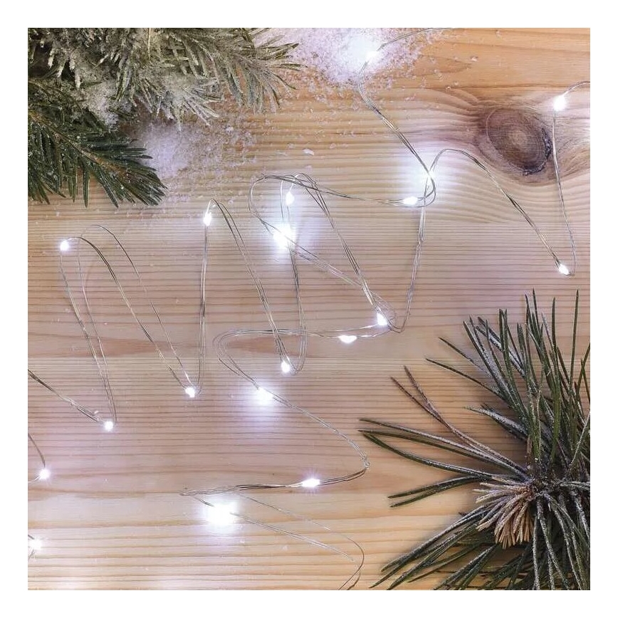 LED-lichtsnoer 20xLED/2xAA, 2,4 m, koud wit