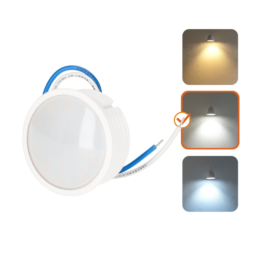 LED-Module LED/5W/230V 4000K