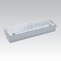 LED-noodarmatuur CARLA LED/5,51W/230V 1h/900 mAh IP65
