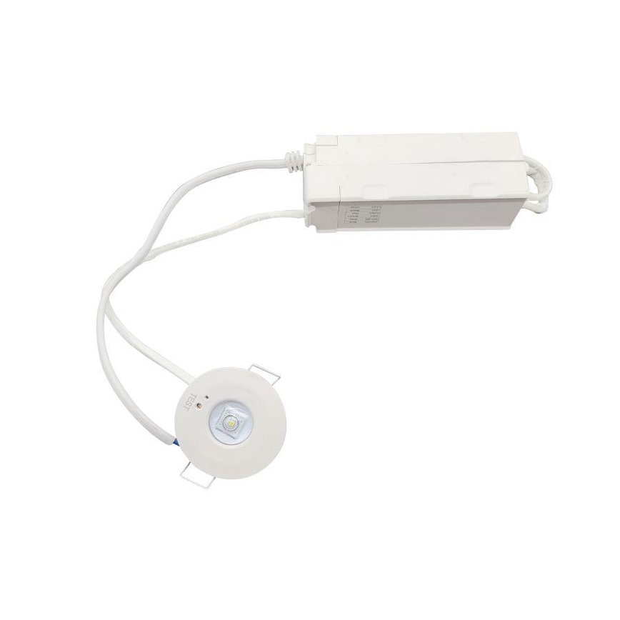 LED Noodgeval Hangende plafondverlichting LED/1,2W/230V 6000K