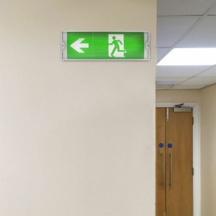 LED Noodverlichting EMERGENCY EXIT LED/3W/230V 6400K IP65