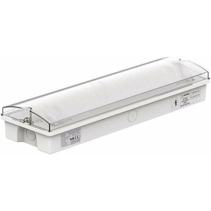 LED Noodverlichting met een regelmatige functionaliteitstest EMERGENCY EXIT LED/3W/230V 6400K IP65