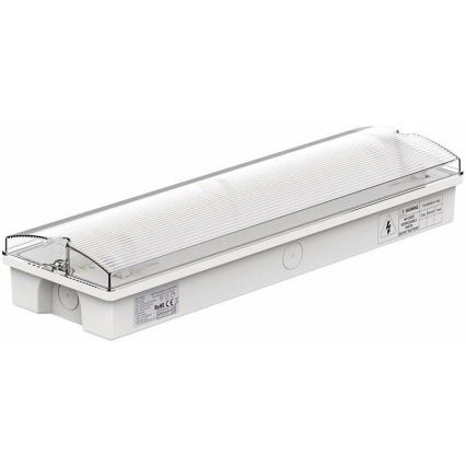 LED Noodverlichting met een regelmatige functionaliteitstest EMERGENCY EXIT LED/3W/230V 6400K IP65