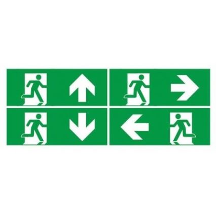 LED Noodverlichting met een regelmatige functionaliteitstest EMERGENCY EXIT LED/3W/230V 6400K IP65