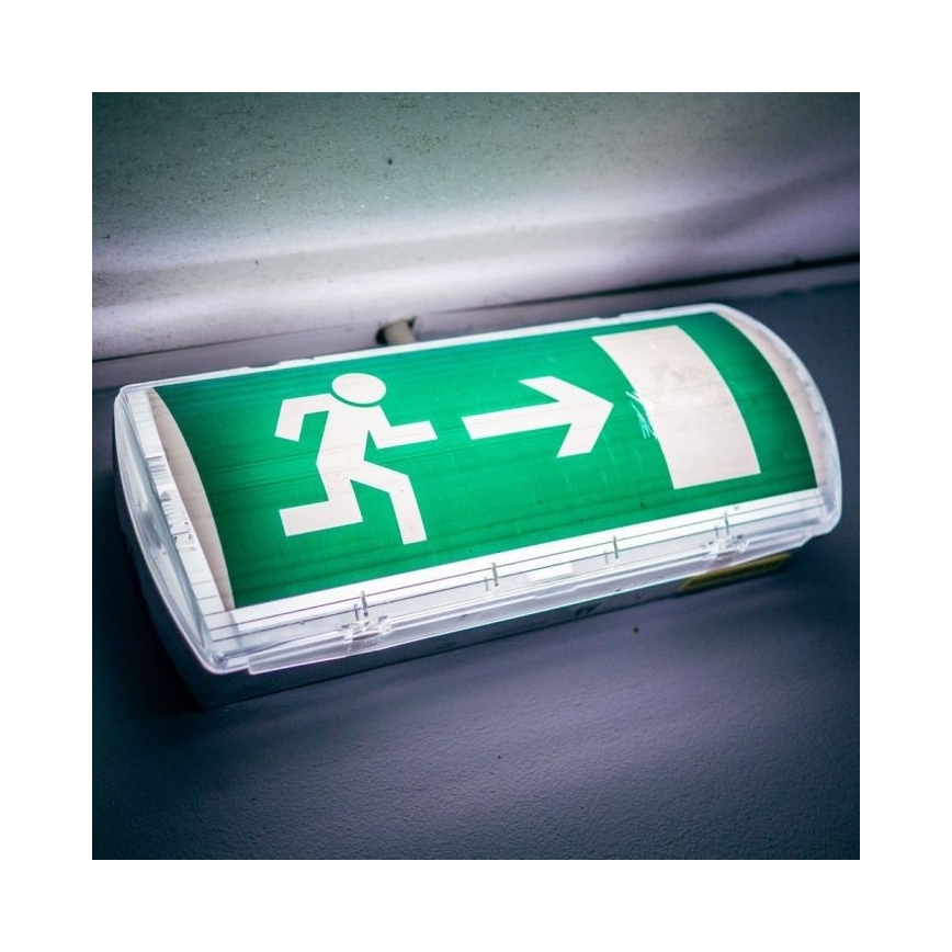 LED Noodverlichting EMERGENCY EXIT LED/3W/230V IP65 6000K 1200mAh