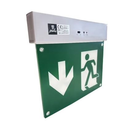 LED Noodverlichting LED/2W/230V 6000K 300 mAh