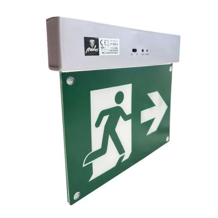 LED Noodverlichting LED/2W/230V 6000K 300 mAh