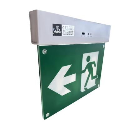 LED Noodverlichting LED/2W/230V 6000K 300 mAh
