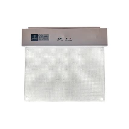 LED Noodverlichting LED/2W/230V 6000K 300 mAh