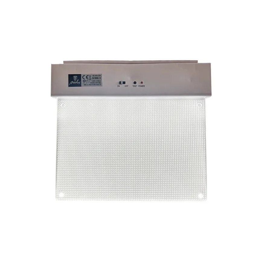 LED Noodverlichting LED/2W/230V 6000K 300 mAh