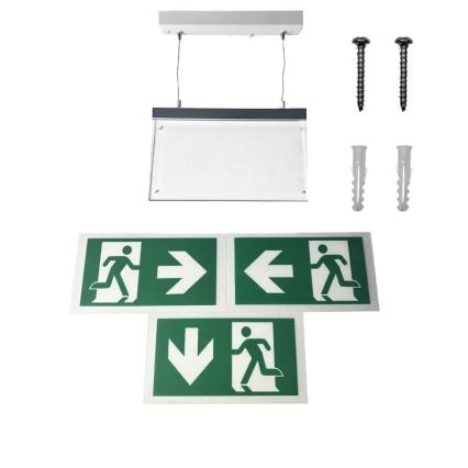 LED Noodverlichting LED/4W/230V 6000K 1000 mAh
