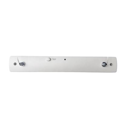 LED Noodverlichting LED/4W/230V 6000K 1000 mAh