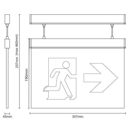 LED Noodverlichtingslamp LED/4W/230V 6000K 1000 mAh
