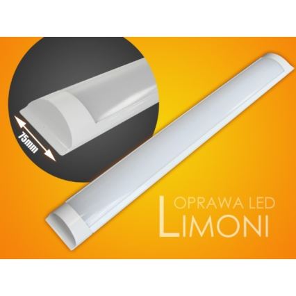 LED Onder keukenkast verlichting LIMONI LED/40W/230V 3000K 120 cm
