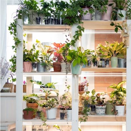 LED Onder keukenkast verlichting voor het kweken van planten GROWLY 2xLED/8,5W/230V wit