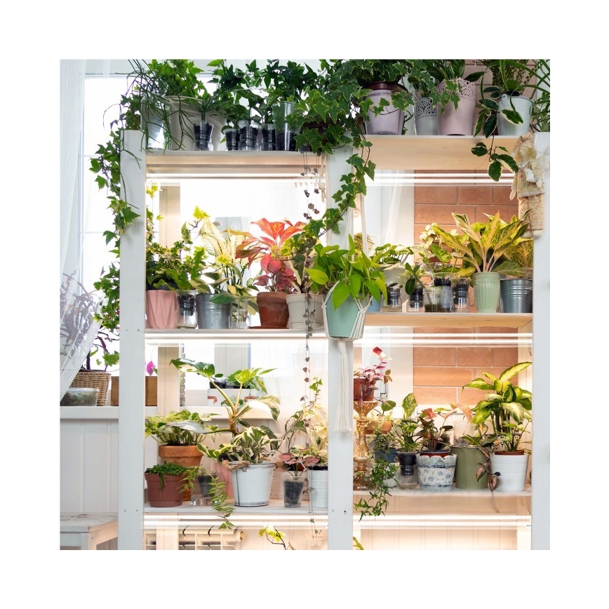 LED Onder keukenkast verlichting voor het kweken van planten GROWLY 2xLED/8,5W/230V wit